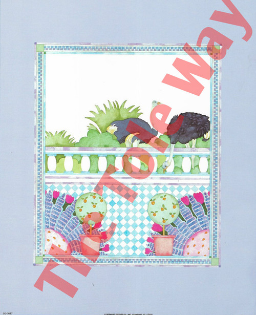 Ostriches (8x10)