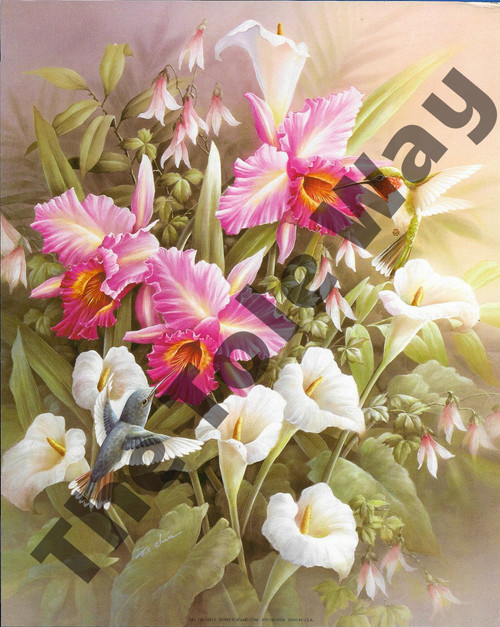 Hummingbirds, Lillies and Irises (8x10)