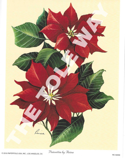 Red Poinsettia by Reina (6x8)
