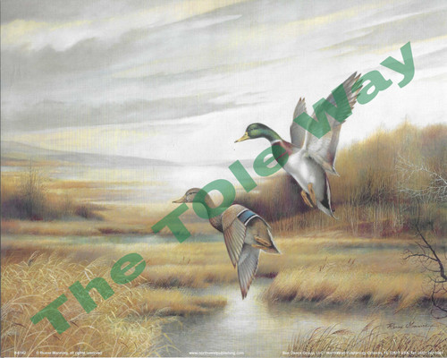 Mallard Ducks (8x10)