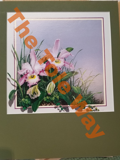 Iris Kit (1 mounted to 11x14 +5 addnl + front mat)