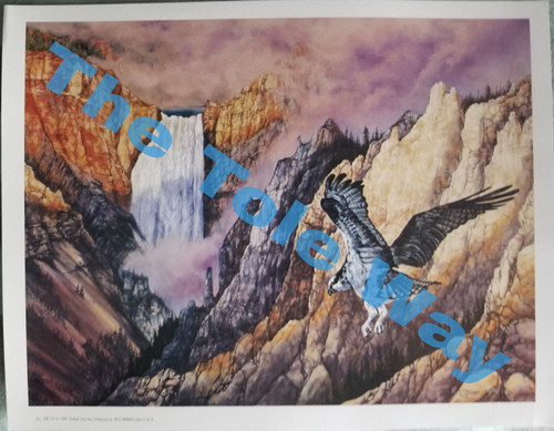 Hawk over Waterfall (9x12)