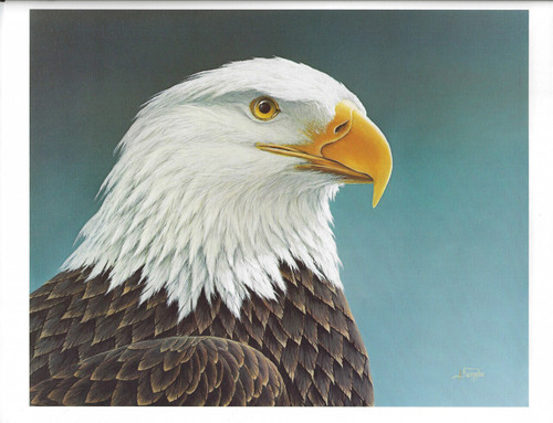 Eagle by Fenske.