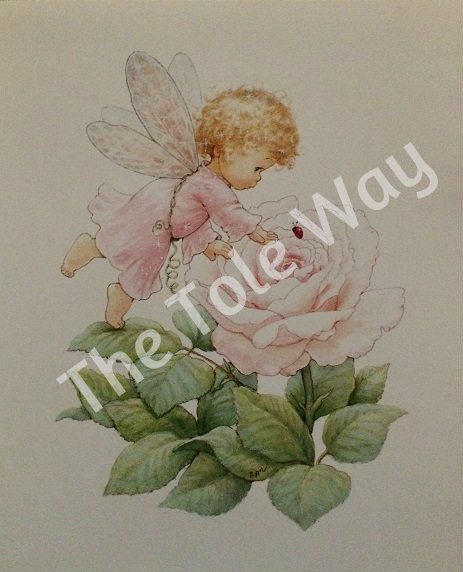 Rose Fairy 98 (4x5)