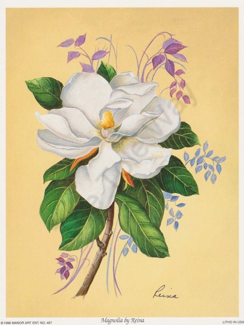 Magnolia by Reina 160 (6x8)