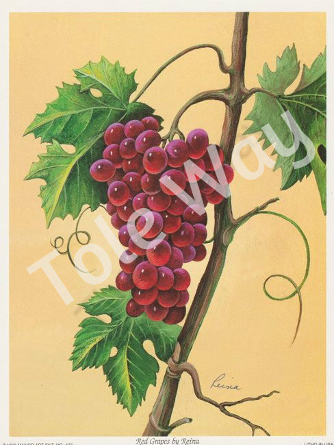 Red Grapes by Reina (6x8)