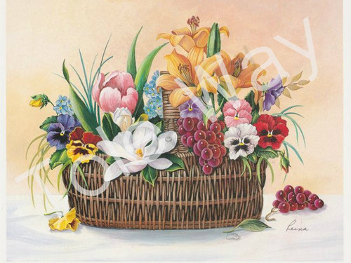 Florals and Red Grapes (8x10)