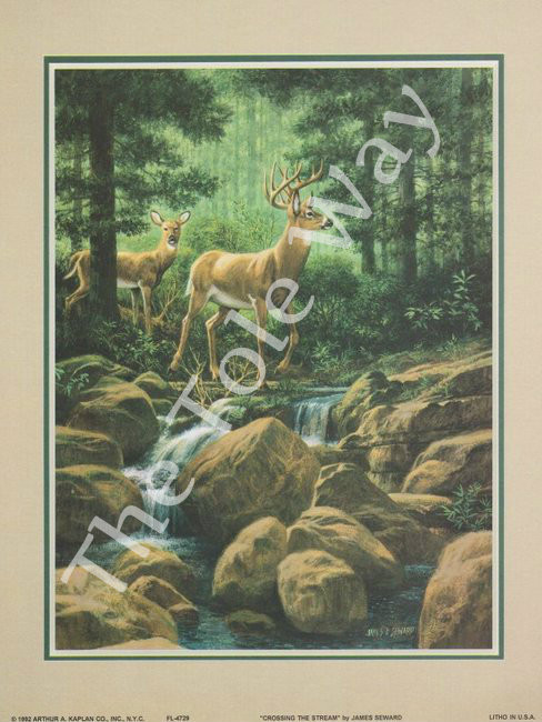 Crossing the Stream (8x10)