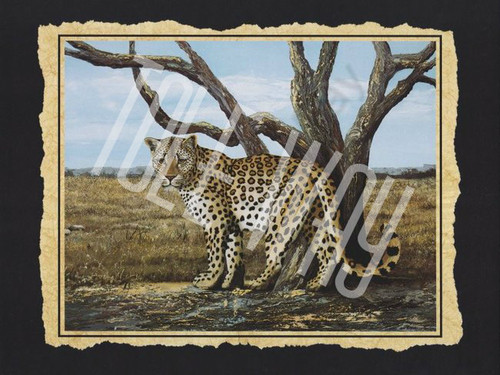 Leopard (16x20)