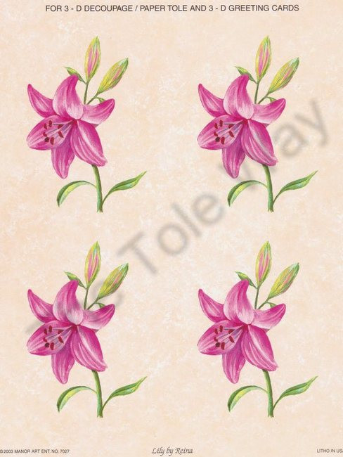 Lily (card sheet 7x9)