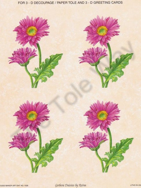 Gerbera Daisies (card sheet 7x9)
