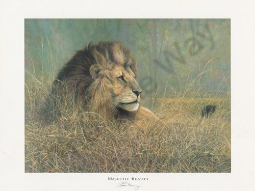 Majestic Beauty (8x10)