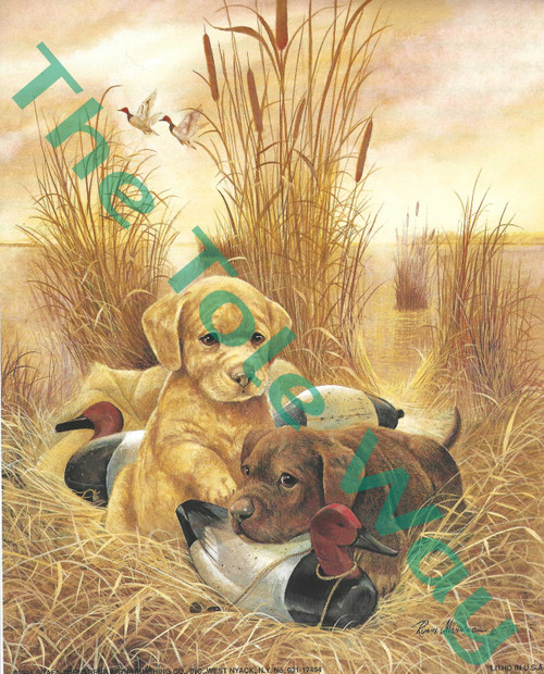 Lab Puppies & duck decoys (8x10)