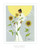 Sunflowers (8x10)