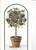Terra Cotta Plum Tree (7.5x13)