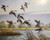 Canada Geese 22x28