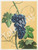 Blue Grapes by Reina (6x8)