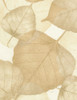 Cotton Print Yarmulkes 108" Leaves - CREAM