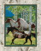 Wild Wings Yarmulkes Cotton - PANEL - Horses