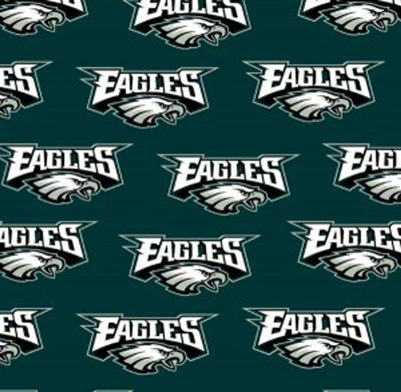 philadelphia eagles skull cap