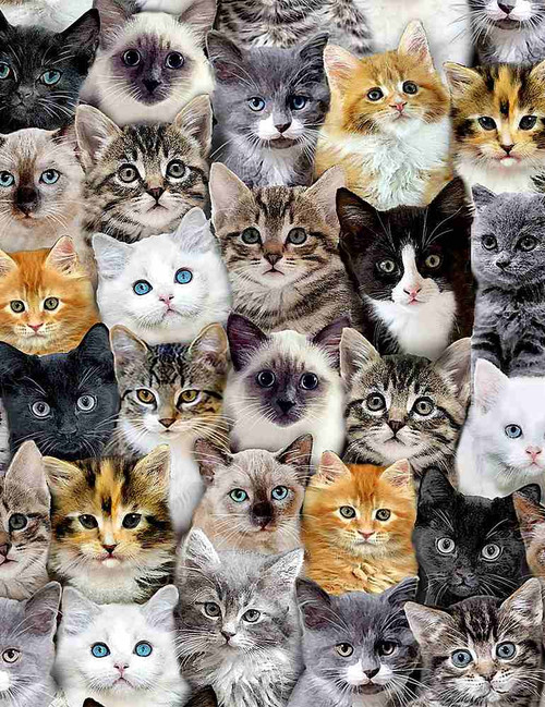 Cotton Print Yarmulkes PACKED MIXED BREEDS OF CATS