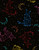 Cotton Print Yarmulkes Cat Constellations Knit - BLACK Cotton Print Yarmulkes Cat Constellations Knit - BLACK