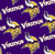 NFL Football Yarmulkes Fleece - MIN - Minn Vikings