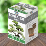 Pine Bonsai Kit