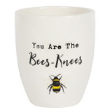 You are the Bees Knees Ceramic Planter