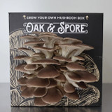 Oak and Spore Italian Oyster Mushroom Kit