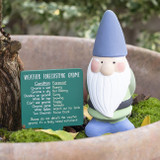 Weather Forecasting Gnome