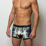 Stonemen Palms Men's Boxer Brief