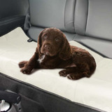 Single Pet Seat Cover