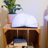 Book Light