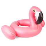 Flamingo Kiddy Float