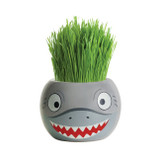 Ocean Animals Grass Hair Kit - Shark