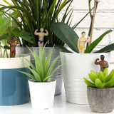 Mini Plant Pot Hunk Planters