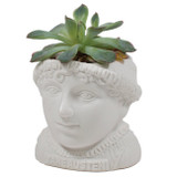 Fertile Minds Jane Austen Planter