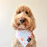 Boss & Boo Luxe Dog Bandana: Wild at Heart