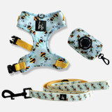 Boss & Boo Bumble Bee Dog Accessories