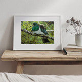 Kereru Paint by Numbers Kit