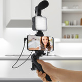 3-in-1 LED Tripod Mic Mount