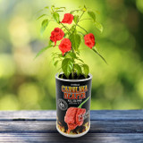 Carolina Reaper Grow Kit