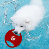 Rope Flying Disc Dog Toy