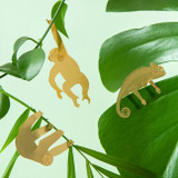Plant Animals - Forest Animals