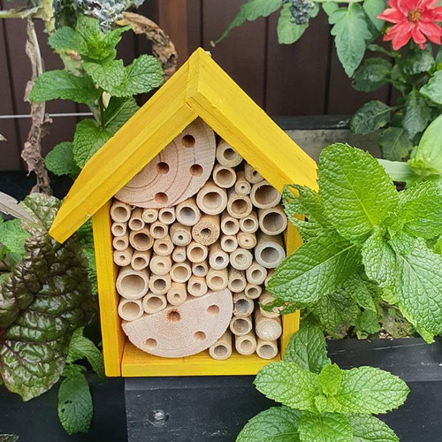 Small Bee & Insect House