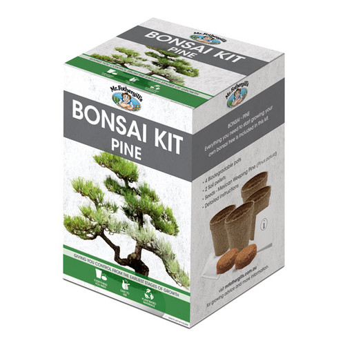 Pine Bonsai Kit