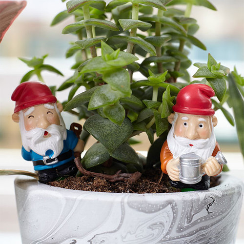Mini Plant Pot Gnomes