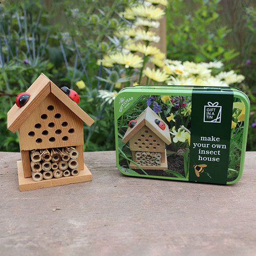 Apples to Pears Make Your Own Insect House in a Tin