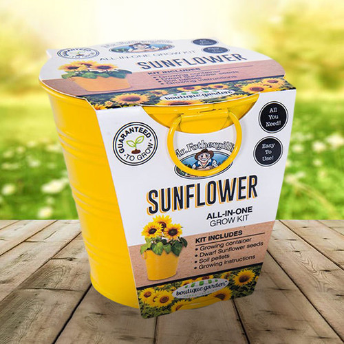 Sunflower Garden Grow Kit